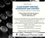 Flash Script Writing Workshop and Contest